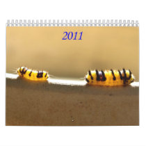 It's the Little Things in Life Wall Calendars