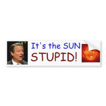 It's the SUN STUPID! Bumper Sticker bumper stickers