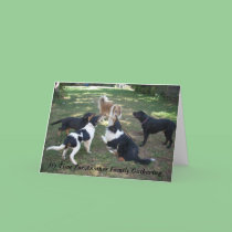 It's Time For Another Family Gathering cards
