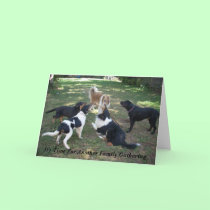It's Time For Another Family Gathering cards
