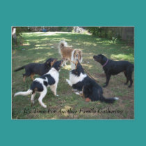 It's Time For Another Family Gathering postcards