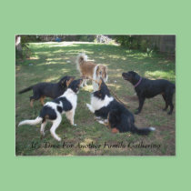 It's Time For Another Family Gathering postcards