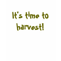 It's time to harvest! - Farm TShirt by ekissed It's time to harvest! - Farm TShirt