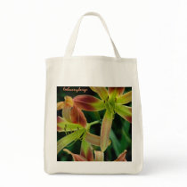It's 'Twister Time' bags by littlewingdesign It's 'Twister Time' bags