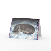 its your b-day cards