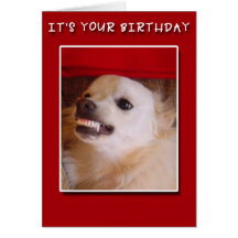 It's Your Birthday! Grinning Dog Birthday Card