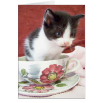 itsy bitsy 4 week kitten cards by KatAnnette itsy bitsy 4 week kitten cards