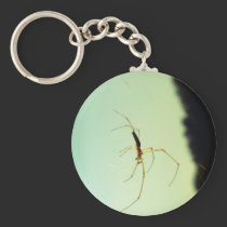 Itsy bitsy spider keychains