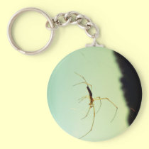 Itsy bitsy spider keychains