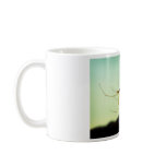 Itsy bitsy spider mugs