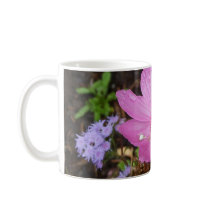 Itsy Bitsy Spider mugs