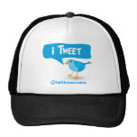 iTweet Twitter Cute Blue Bird Hat
