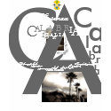 IV Calabria Italia t-shirts
