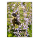 I've been BZZZZY! cards