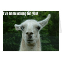 i've been looking for you cards by Libby i've been looking for you cards