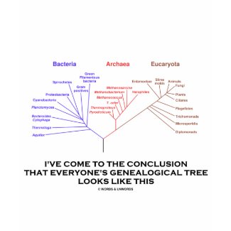 I've Come To The Conclusion Genealogical Tree shirt