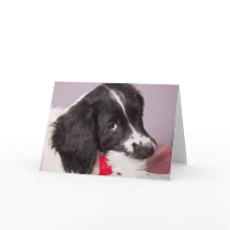 I've eaten Santa Claus cards by cARTerART I've eaten Santa Claus cards