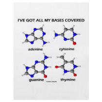 I've Got My Bases Covered (Chemistry DNA Bases) Flyer