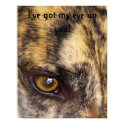 I've got my eye on you! posters