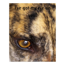 I've got my eye on you! posters by skytopian I've got my eye on you! posters