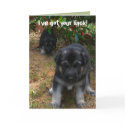 Ive got your back! German Shepherd Puppy Greeting cards by KELLBELL535 Ive got your back! German Shepherd Puppy Greeting cards