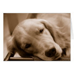 I've had a busy day greeting cards