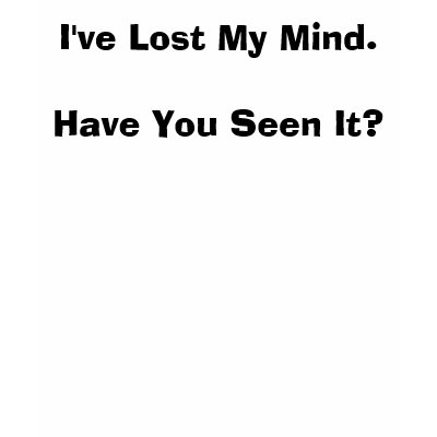 I've Lost My Mind.Have You Seen It? Tshirt by Some_Person