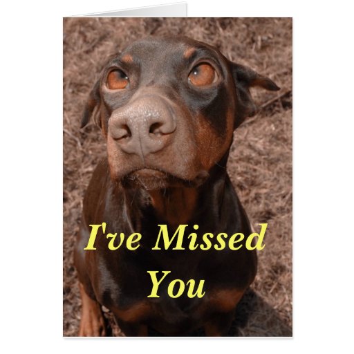 Ive Missed You Card Zazzle 