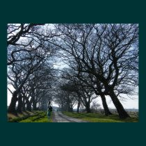 Ivesley Avenue posters