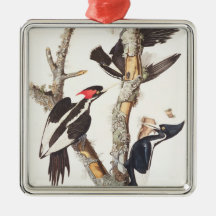 Ivory-billed Woodpecker, 1829, (print) Christmas Ornament