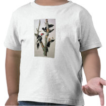 Ivory-billed Woodpecker, from 'Birds of America' Tee Shirts
