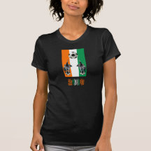 Ivory Coast Cote D'Ivoore soccer football 2010 Shirt