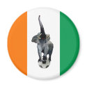 Ivory Coast Cote D'Ivore Soccer Flag magnets