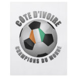 IVORY COAST SOCCER CHAMPIONS flyers