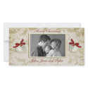 Ivory Holly Photo Card photo cards by StarStock Ivory Holly Photo Card photo cards