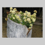 Ivory Zinnias posters