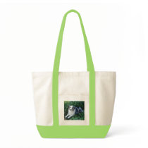Ivy Boy bags