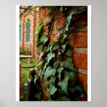 Ivy & Brick [Print]
