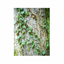 Ivy Climbing Tree photo sculptures by lifesphere Ivy Climbing Tree photo sculptures