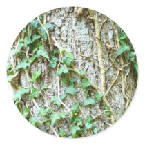 Ivy Climbing Tree stickers by lifesphere Ivy Climbing Tree stickers