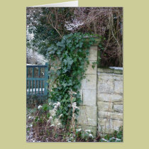 "Ivy Covered Gate" Northumberland England cards
