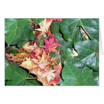 Ivy Cradling Maple Leaves cards by ebroskie1234 Ivy Cradling Maple Leaves cards