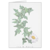 Ivy & Daisy cards by creativeworks Ivy & Daisy cards