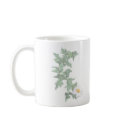 Ivy & Daisy mugs
