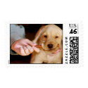 Ivy gots it postage by clw01220 Ivy gots it postage