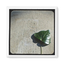 ivy heart magnets by kinymccarrick ivy heart magnets