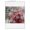 Ivy in Fall Color cards