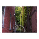 Ivy in the Alley posters by WardStudios Ivy in the Alley posters
