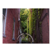 Ivy in the Alley posters