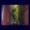 Ivy in the Alley posters